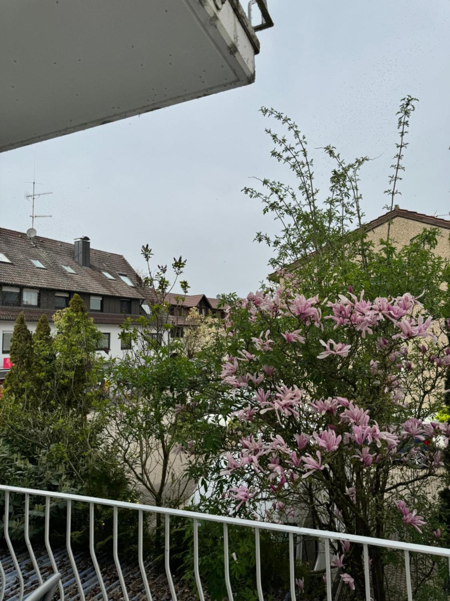 See-Hotel Seeschau - Direkt Am Bodenseeufer Reichenau Luaran gambar